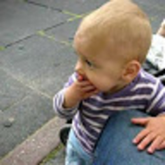 Meet your Posher, Gabriel - Picture 1 of 1